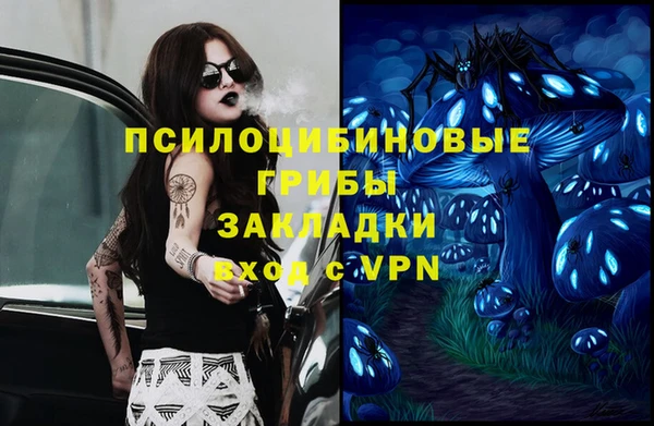 гашик Балабаново