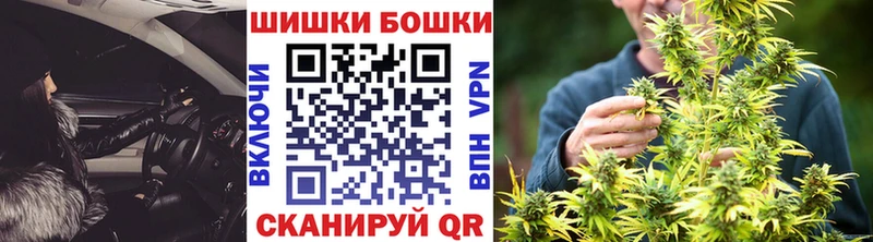 где найти наркотики  Мариинский Посад  Бошки марихуана тримм 